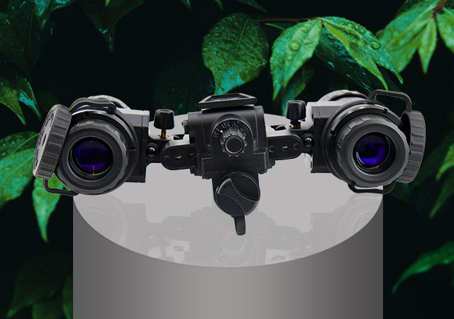 لماذا يحظى PVS-31 بشعبية كبيرة؟